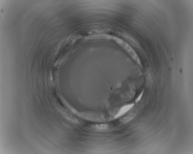 X0000075920361200610151912