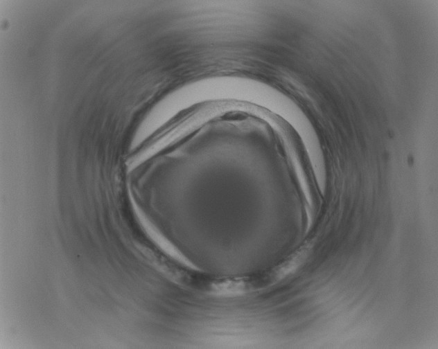 X0000075920362200610151912