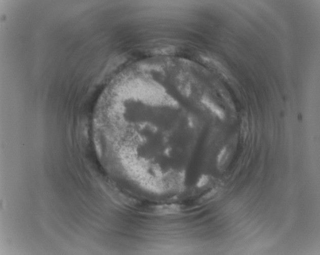 X0000075920363200610151912