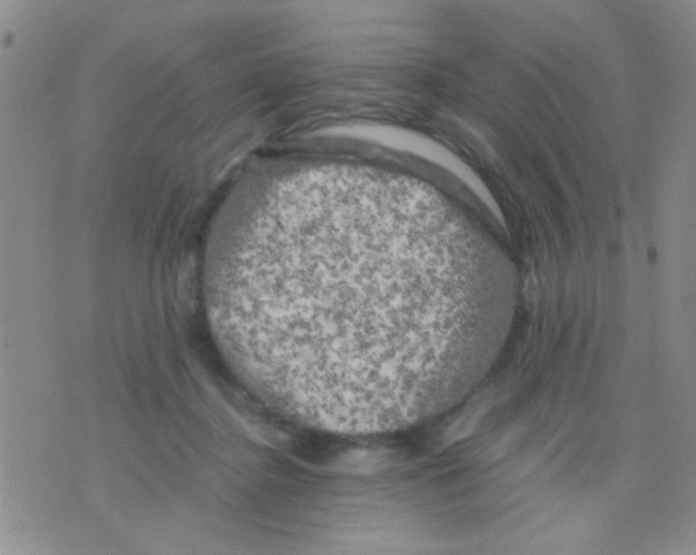 X0000075920364200610151912