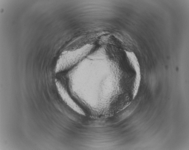 X0000075920366200610151912