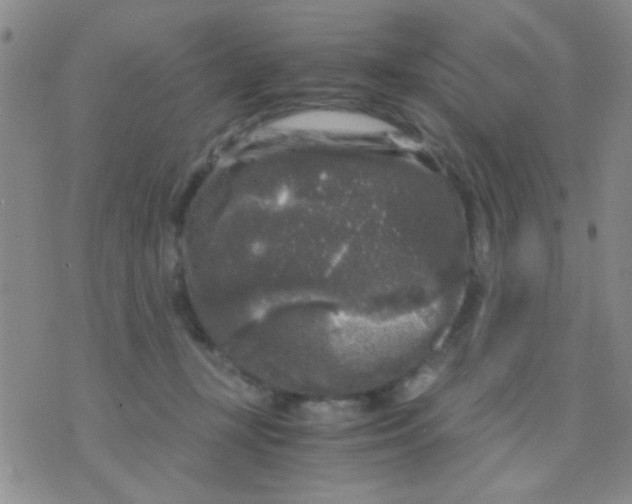 X0000075920367200610151912