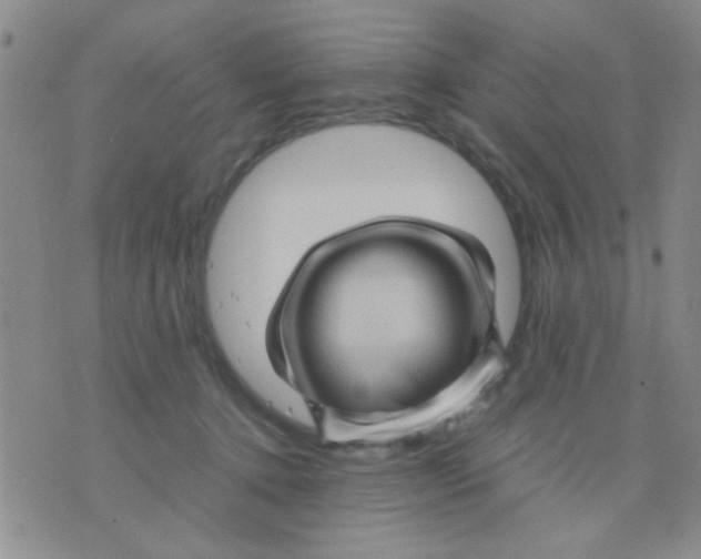 X0000075920368200610151912