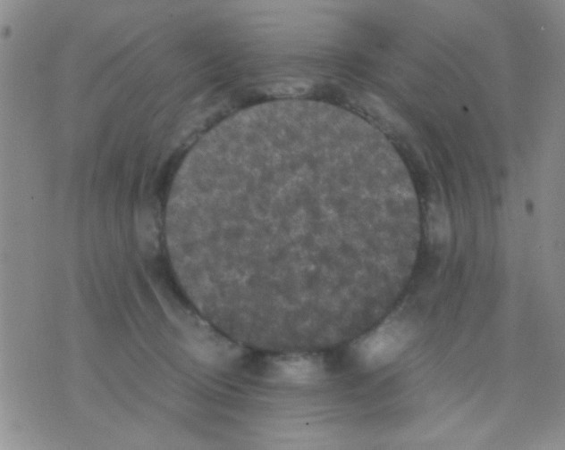 X0000075920370200610151912