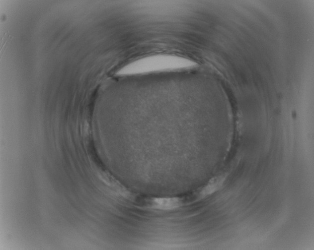 X0000075920371200610151912