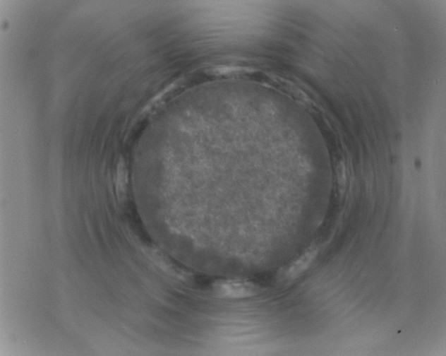 X0000075920372200610151912