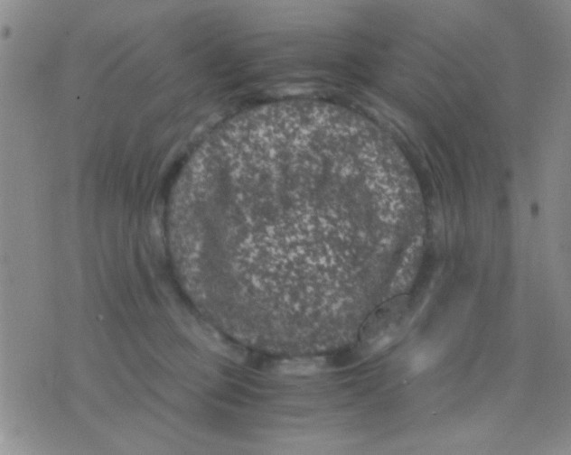 X0000075920373200610151912