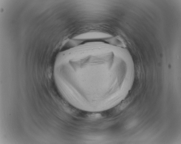 X0000075920374200610151912