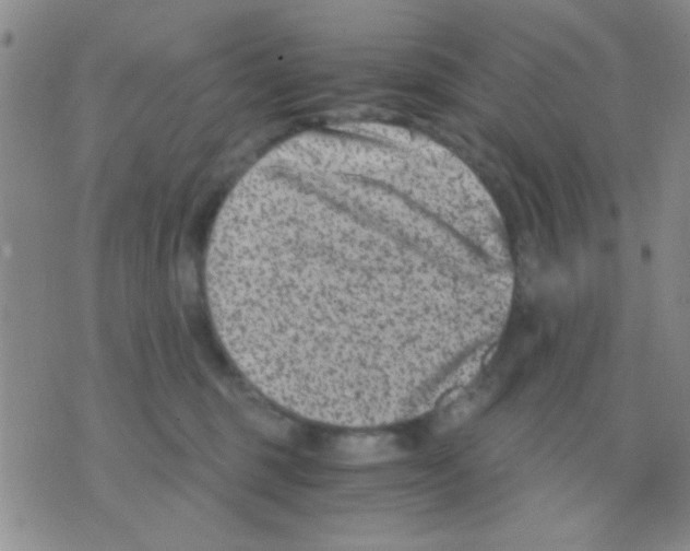 X0000075920375200610151912