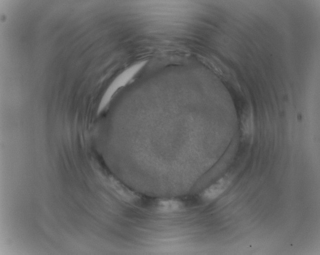 X0000075920376200610151912