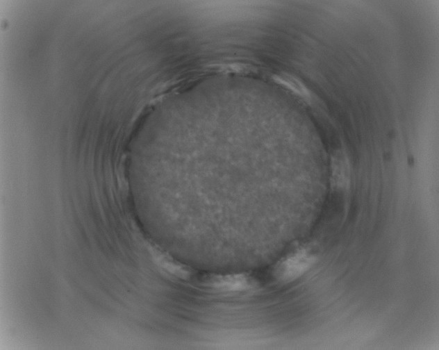 X0000075920377200610151912