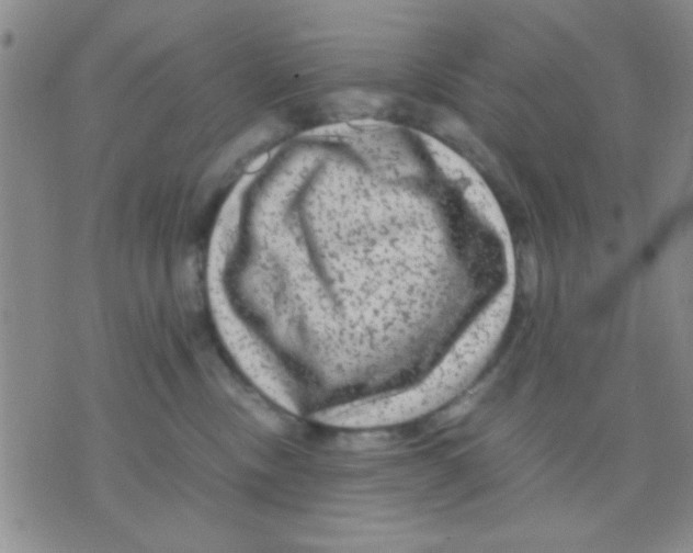 X0000075920378200610151912