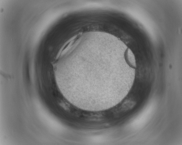 X0000075920382200610151912