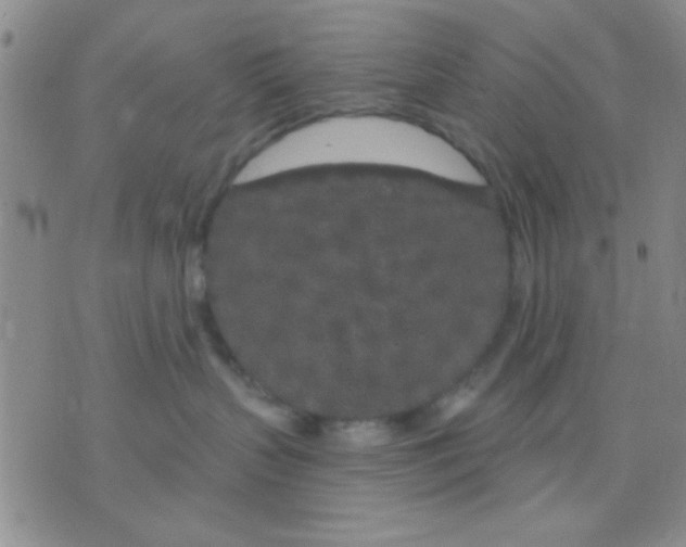 X0000075920383200610151912