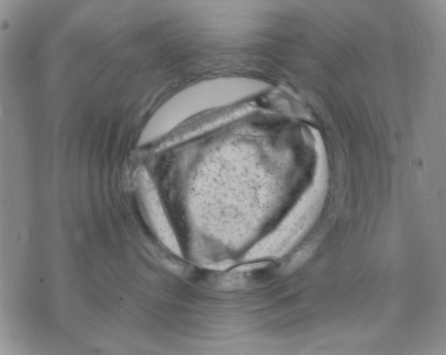 X0000075920384200610151912