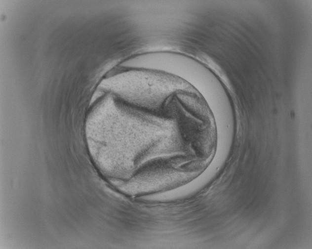 X0000075920385200610151912