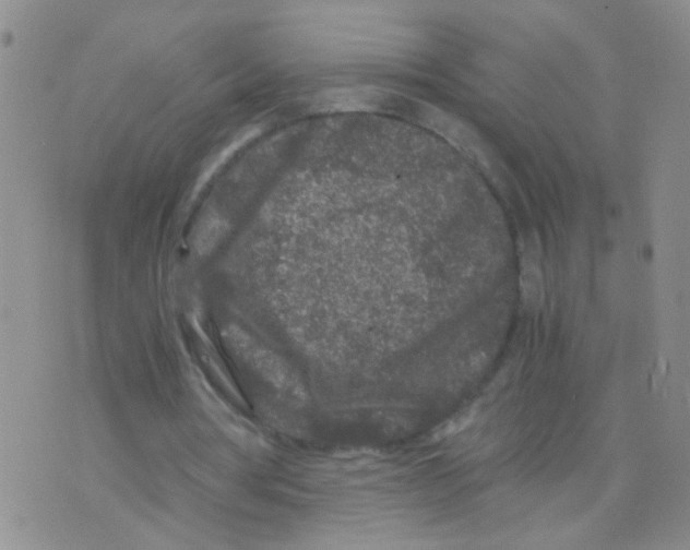 X0000075920386200610151912