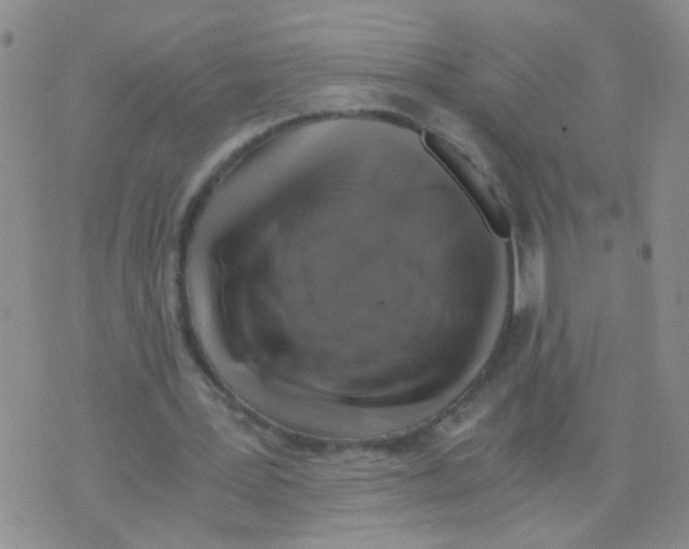 X0000075920387200610151912