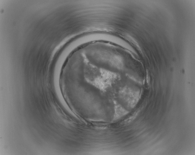 X0000075920388200610151912