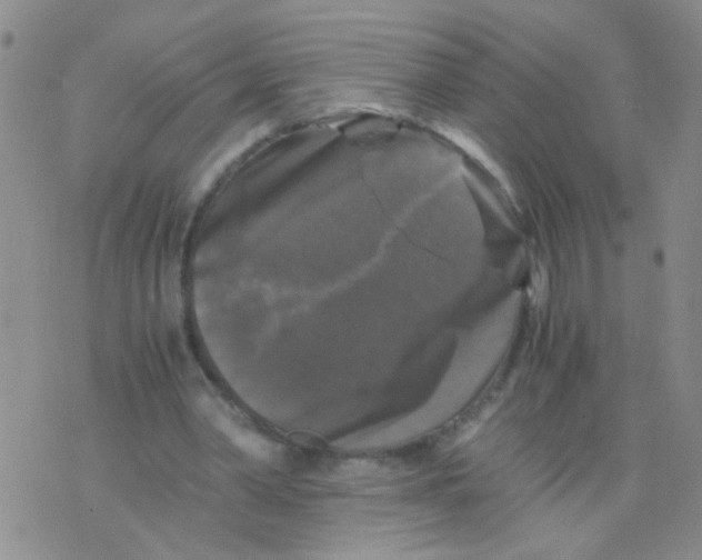 X0000075920390200610151912