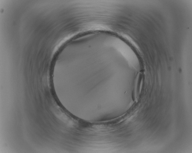 X0000075920391200610151912