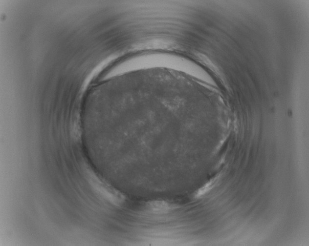 X0000075920392200610151912