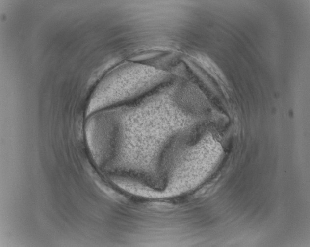 X0000075920393200610151912