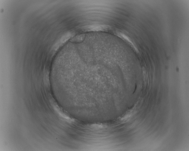 X0000075920394200610151911