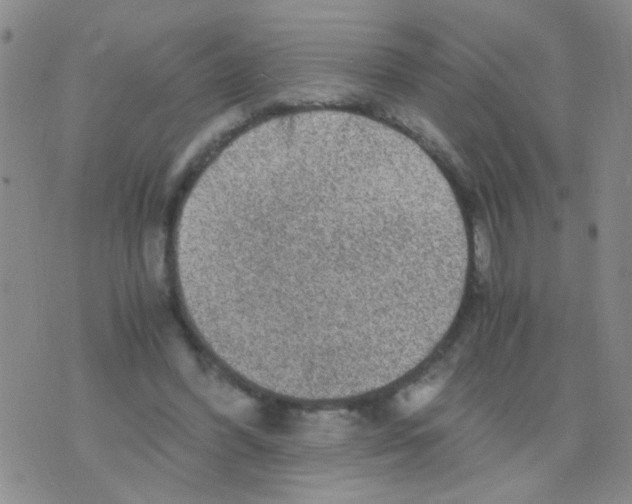 X0000075920396200610151911