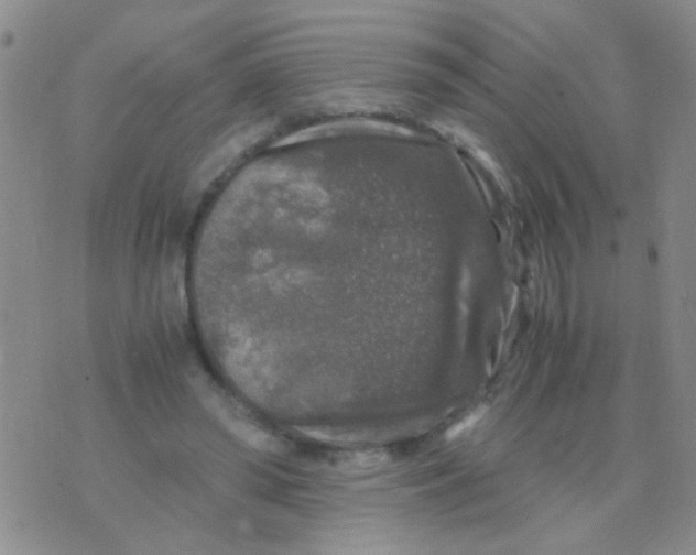 X0000075920398200610151911