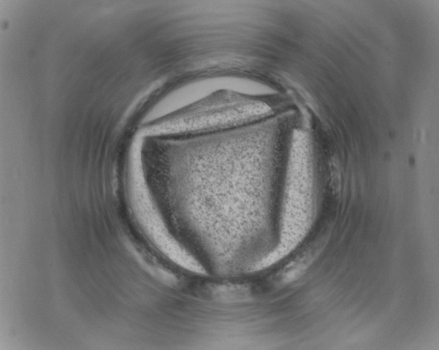 X0000075920400200610151911