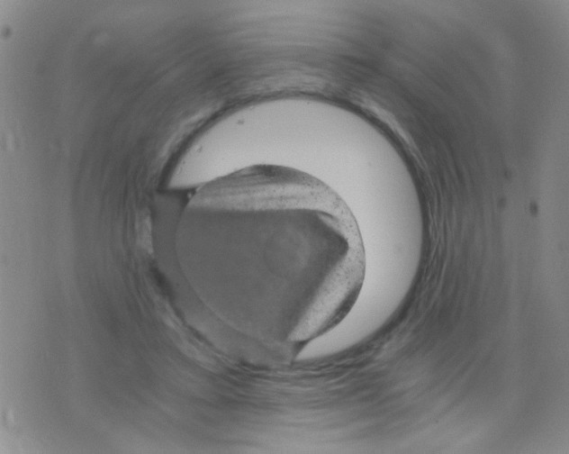 X0000075920403200610151911