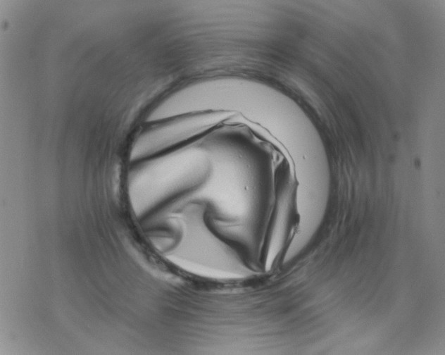 X0000075920404200610151911