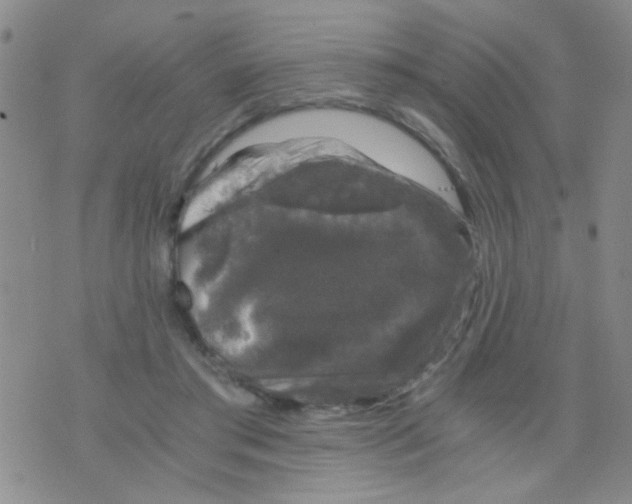 X0000075920405200610151911