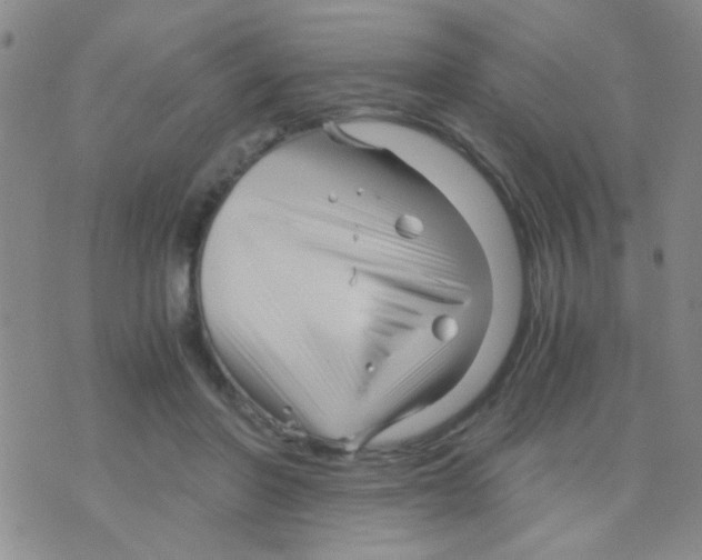 X0000075920406200610151911