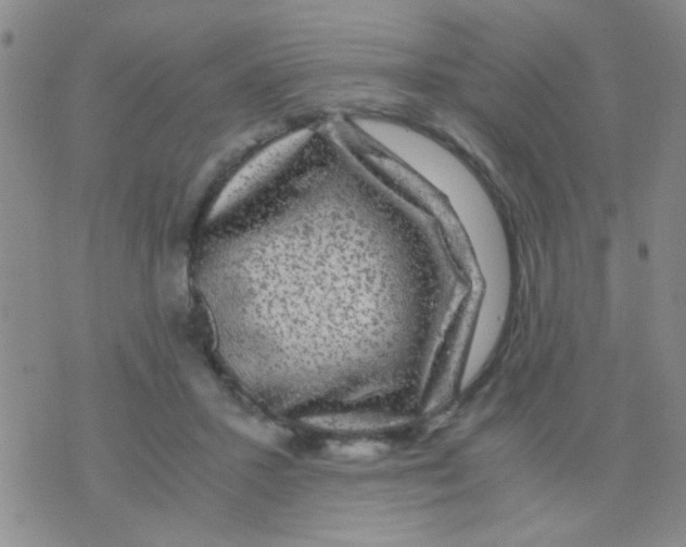 X0000075920407200610151911