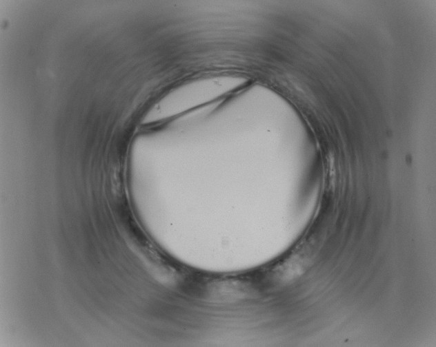 X0000075920408200610151911