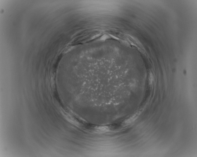 X0000075920409200610151911