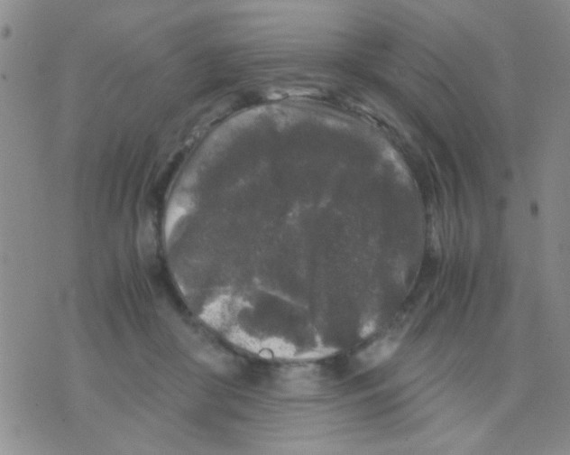 X0000075920410200610151911