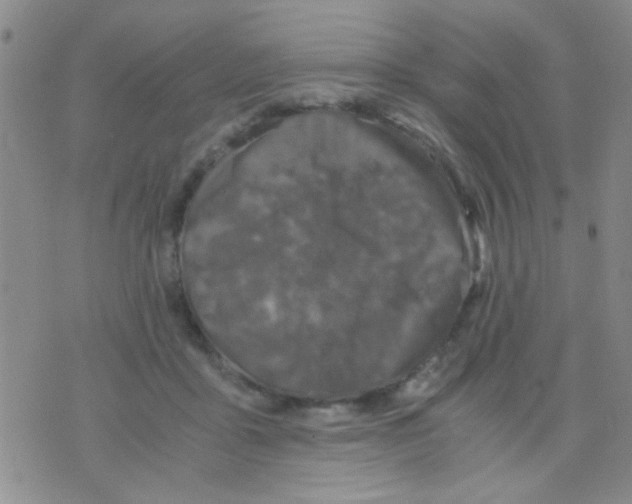 X0000075920411200610151911