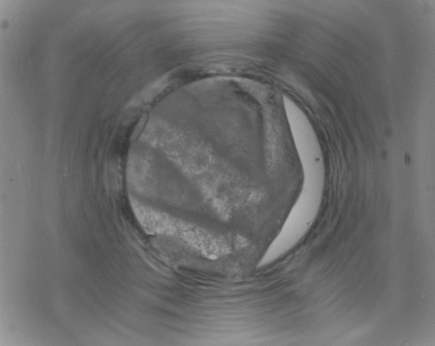 X0000075920413200610151911