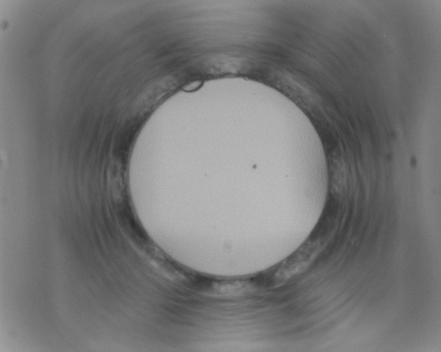 X0000075920414200610151911