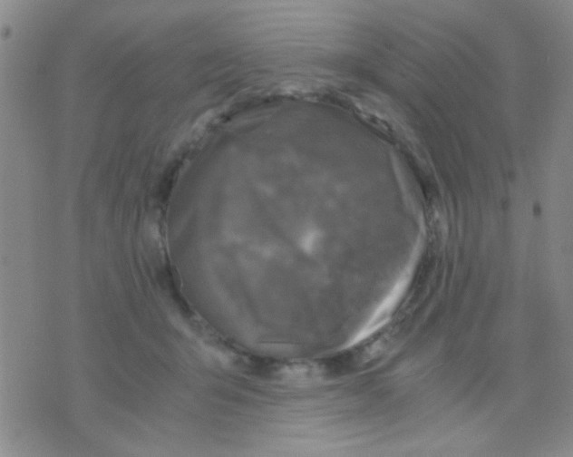 X0000075920415200610151911