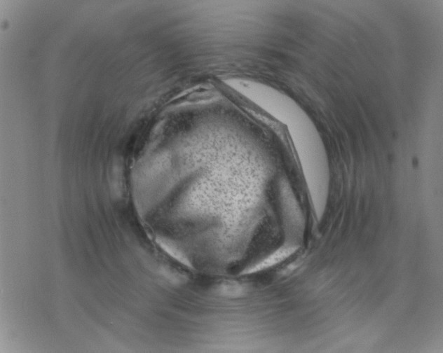 X0000075920416200610151911