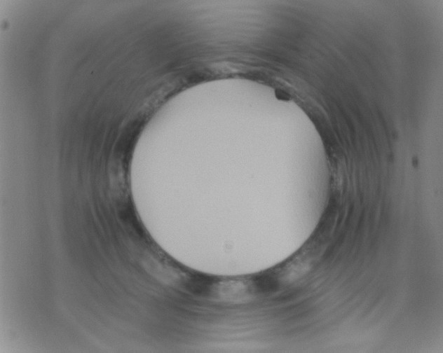 X0000075920418200610151911