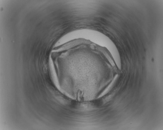 X0000075920420200610151911