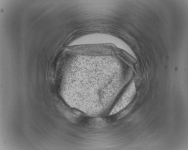 X0000075920421200610151911