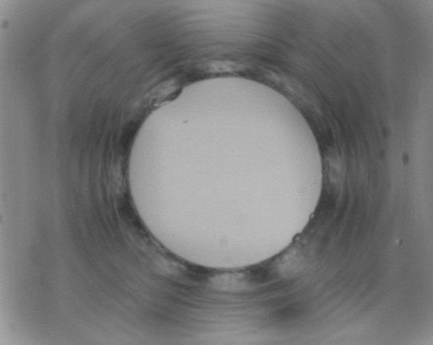 X0000075920422200610151911