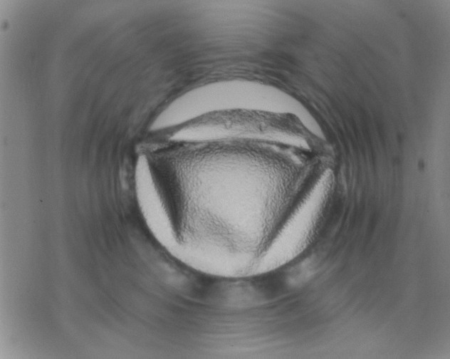 X0000075920424200610151911