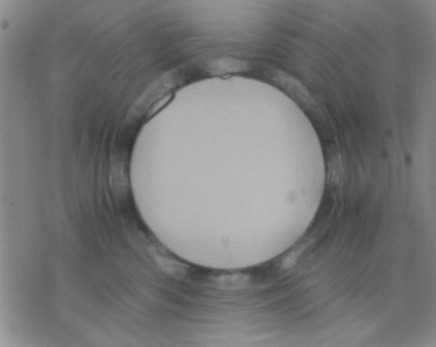 X0000075920426200610151911